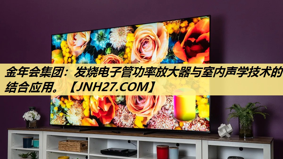 发烧电子管功率放大器与室内声学技术的结合应用。 发烧电子管功率放大器与室内声学技术的结合应用。