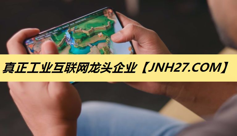 真正工业互联网龙头企业 真正工业互联网龙头企业