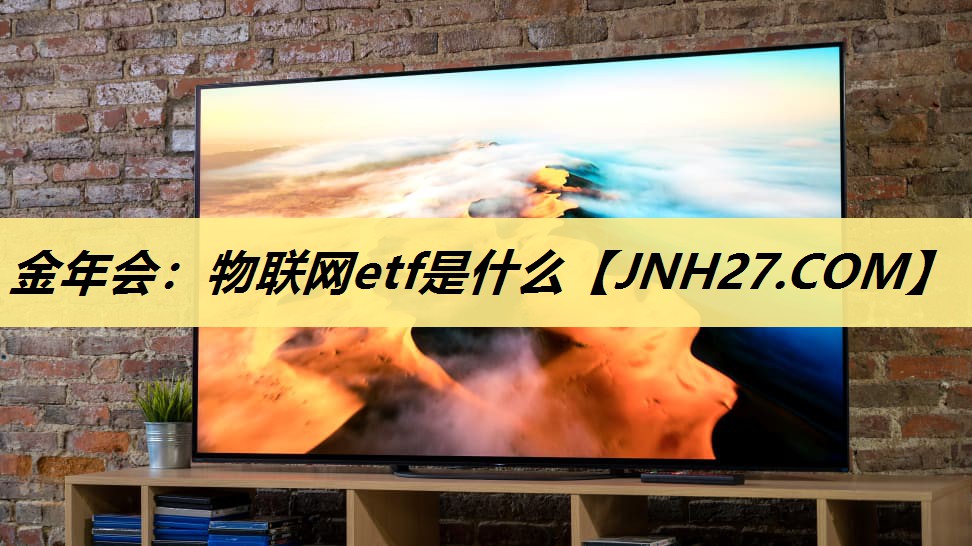 金年会：物联网etf是什么
