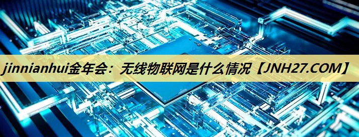 jinnianhui金年会：无线物联网是什么情况