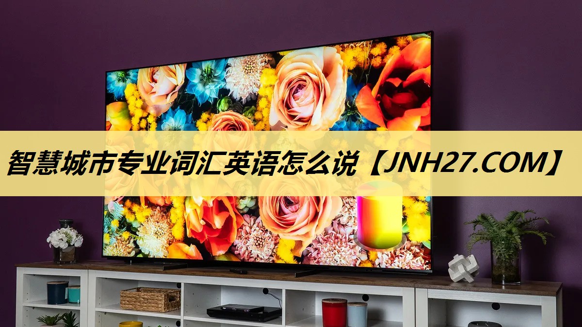 智慧城市专业词汇英语怎么说 智慧城市专业词汇英语怎么说