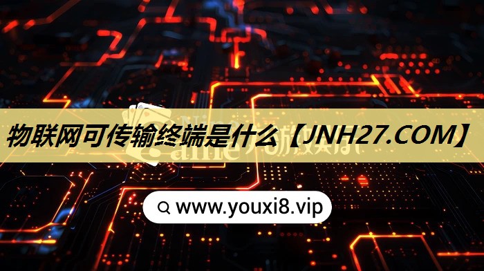 物联网可传输终端是什么 物联网可传输终端是什么